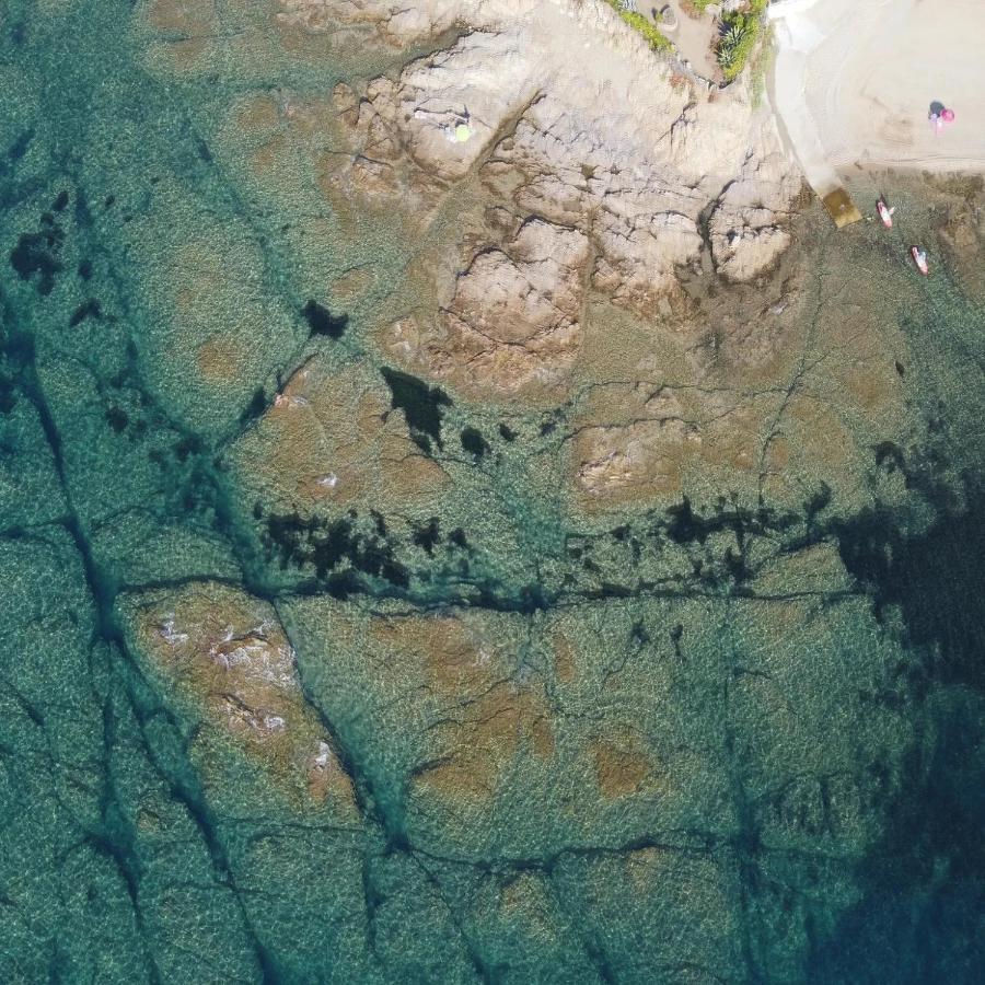Villa Sunbeach 罗克布伦河畔阿尔让 外观 照片