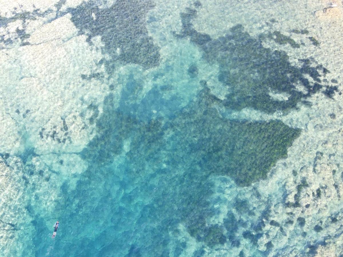 Villa Sunbeach 罗克布伦河畔阿尔让 外观 照片
