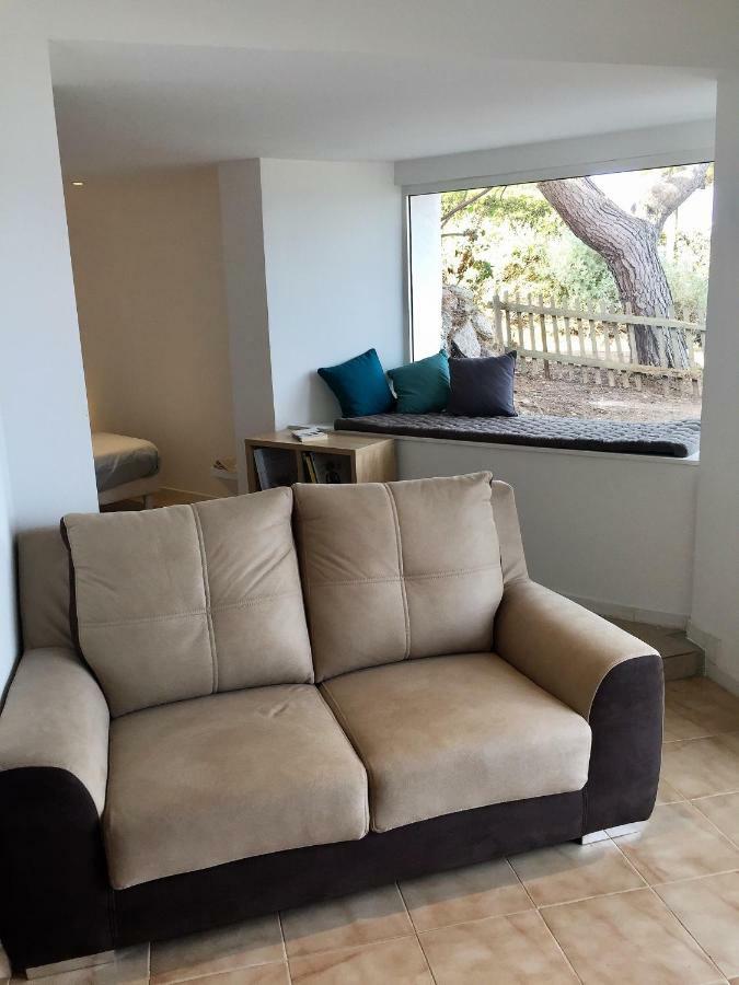 Villa Sunbeach 罗克布伦河畔阿尔让 外观 照片
